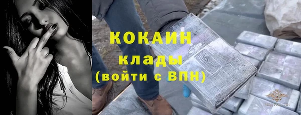 прущие грибы Абдулино
