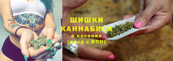 прущие грибы Абдулино