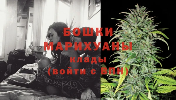 Альфа ПВП Абаза